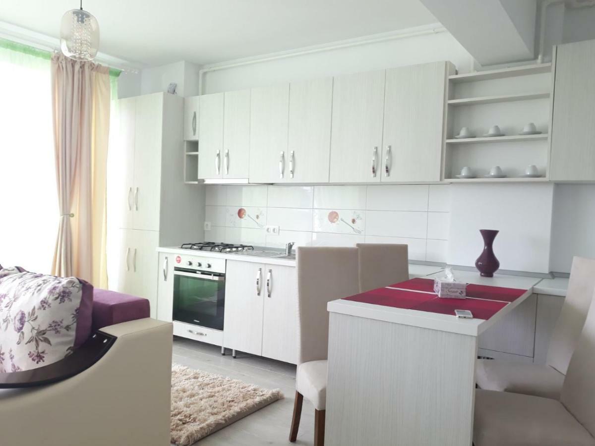 Apartament Coresi Braşov Buitenkant foto